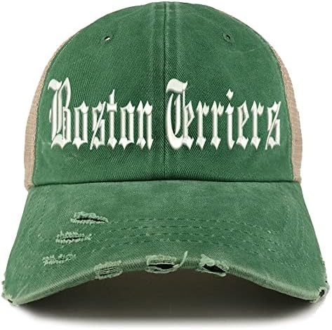 חנות הלבשה אופנתית אנגלית ישנה בוסטון טריירס פרייד בילר משאית רשת גב כובע